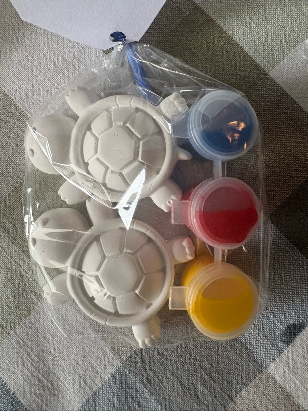 Blank Turtle Paint Favor Set - White with Red Blue Yellow Paints